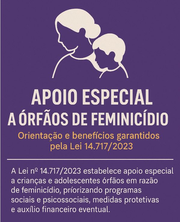 CEDECA/SC participa de Comitê Estadual da Coalizão Nacional Orfandade e Direitos e promove campanha de apoio a órfãos de feminicídio